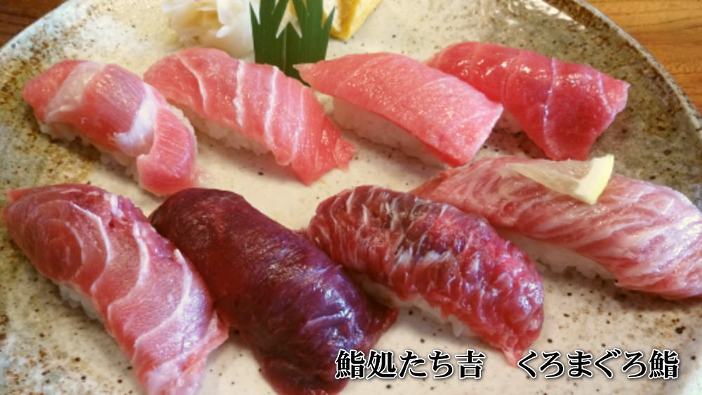 味自慢！鮨処たち吉の鮨と丼 | 三崎港の本まぐろ(くろまぐろ)寿司・丼 